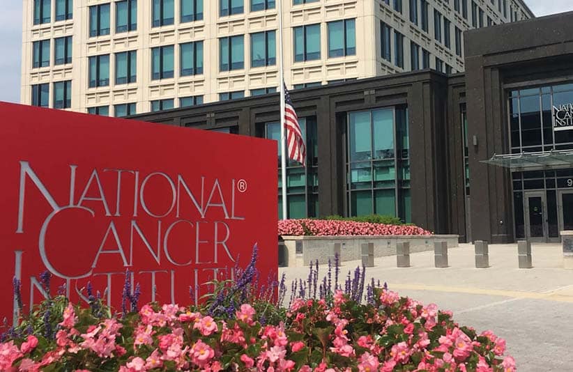 National Cancer Center $397,000 Grant